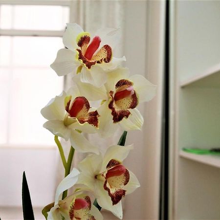 Beautiful Suite Lisboa 外观 照片